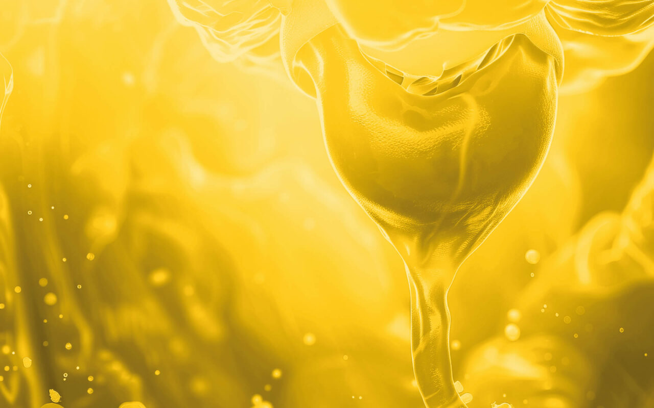 Endometriosis & Friends 2025