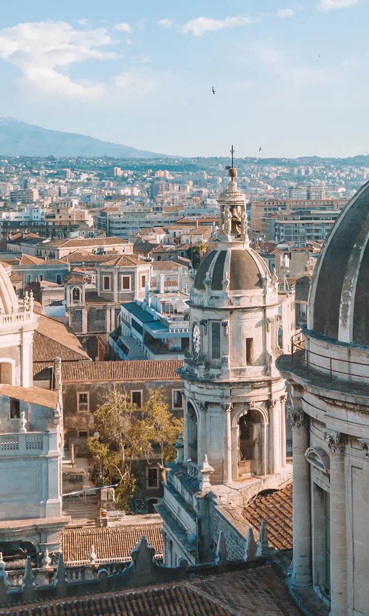 12th Mediterranean Endo-Gynecological Surgery Congress 12th Mediterranean Endo-Gynecological Surgery Congress